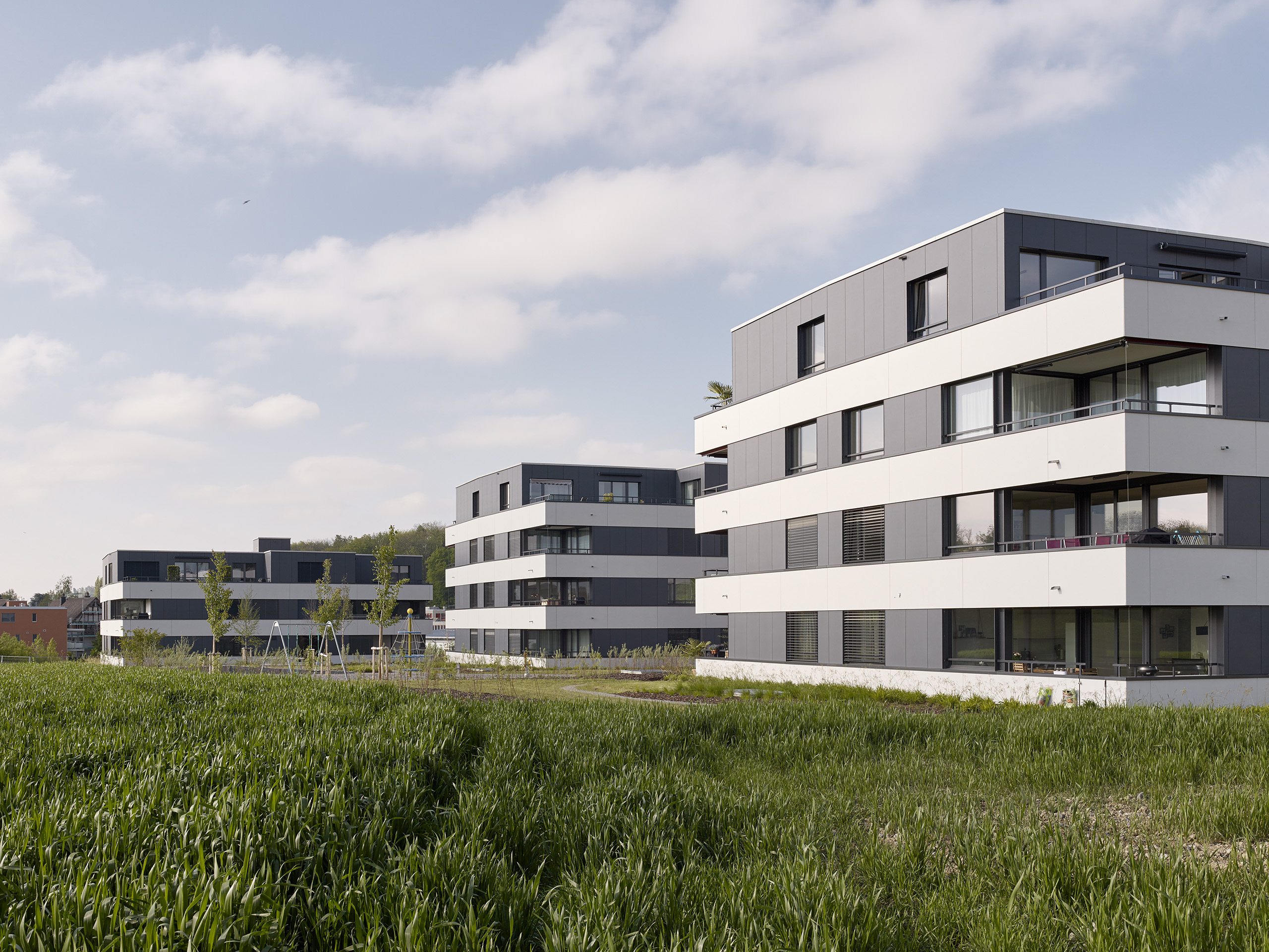 E18686 Alpa 088532 SCREEN